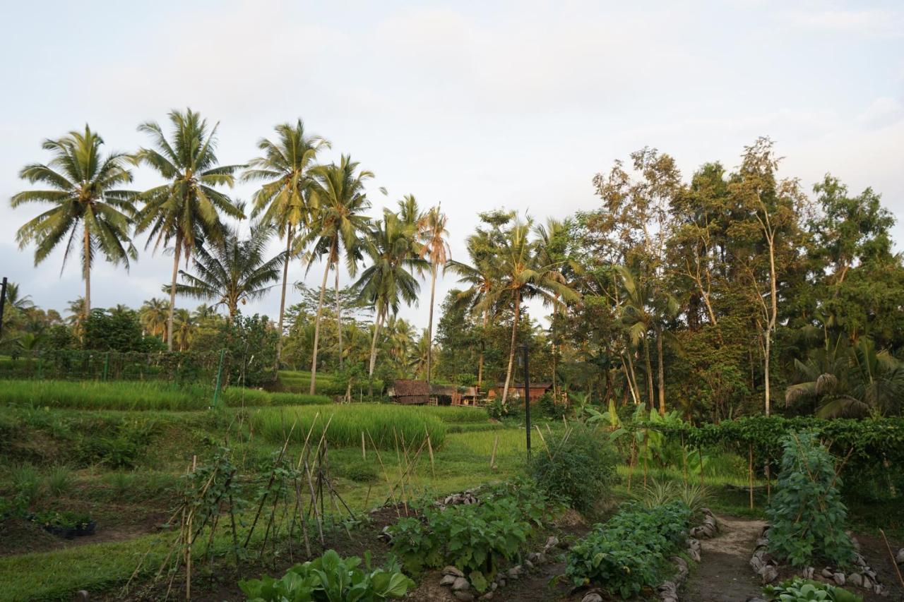 Beingsattvaa Luxury Ubud - Chse Certified Exterior foto